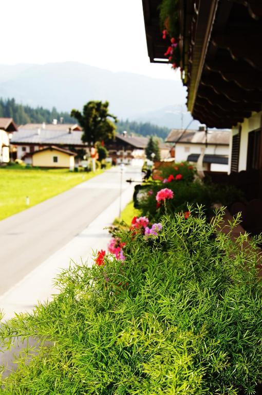 Pension Hohe Salve ヴェステンドルフ エクステリア 写真